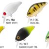 BB Cranck 05 gr 7 Floating 45 mm. - immagine 2