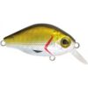 BB Cranck 05 gr 7 Floating 45 mm.