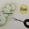 Float Oval Fluò Pop Up Luminosi - immagine 4