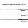 Canna Trota Lago Trabucco ACTIVA slim trout - immagine 2