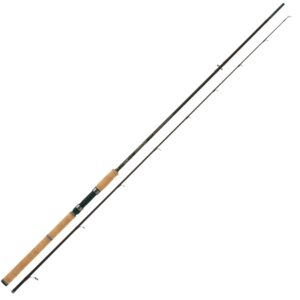 Canna Rapture INTRUDER 1002 H casting gr. 20>50 mt. 3