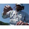 Aghi testa rossa Stonfo infilavermi surcasting beach casting art 454 - immagine 2