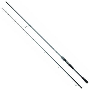 Canna Spinning Daiwa Salt Water FREAMS SALT