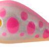 HOT BUZZ 25 mm. sinking CRANK BAIT - immagine 4