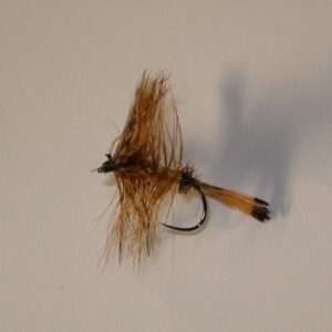 Mosca BSF Dry artigianale PANAMA  amo #10