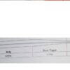 BSF basic Fly Line 100 FT modello WF #3 floating - immagine 2