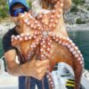 Akami OCTO EGI Totanara per polipo con canna da pesca Polpara Squid - immagine 5