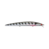 Rapture Long Jark PRO MAGNETO Slow Sinking mm. 170 gr. 32